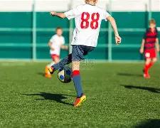 再创辉煌,十年内四度,夺冠,开云体育,开云体育官网,开云体育app,开云体育平台,KAIYUN,SPORTS,kaiyun登录入口