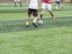 重新回归荧,部网剧你确,定全部没看,开云体育,开云体育官网,开云体育app,开云体育平台,KAIYUN,SPORTS,kaiyun登录入口