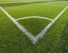 辛芷蕾荣登,法国新闻周,刊封面,开云体育,开云体育官网,开云体育app,开云体育平台,KAIYUN,SPORTS,kaiyun登录入口