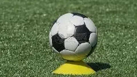 开云体育网址 资讯 091429 ksk